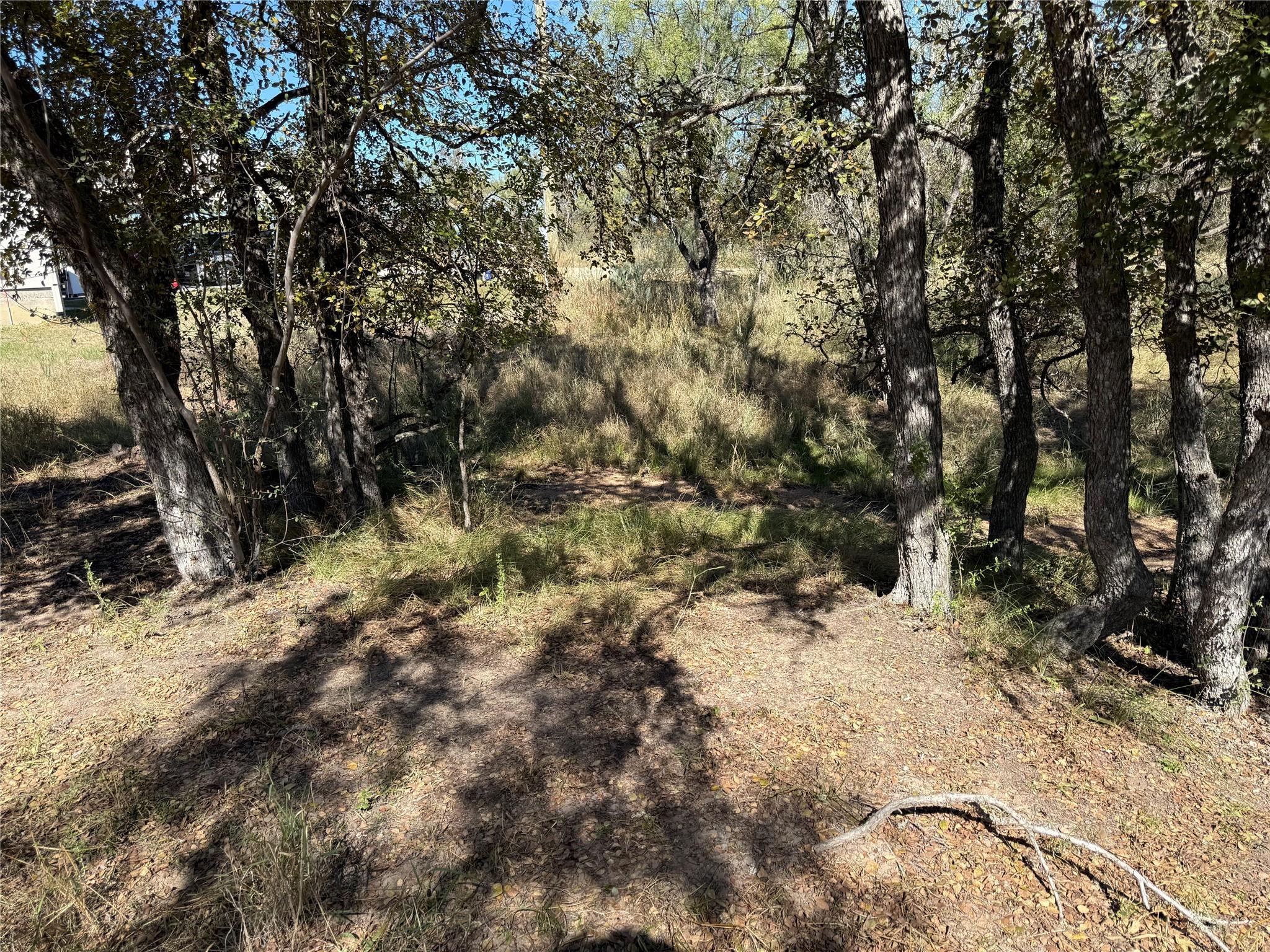 Lot 187 Longmont ST