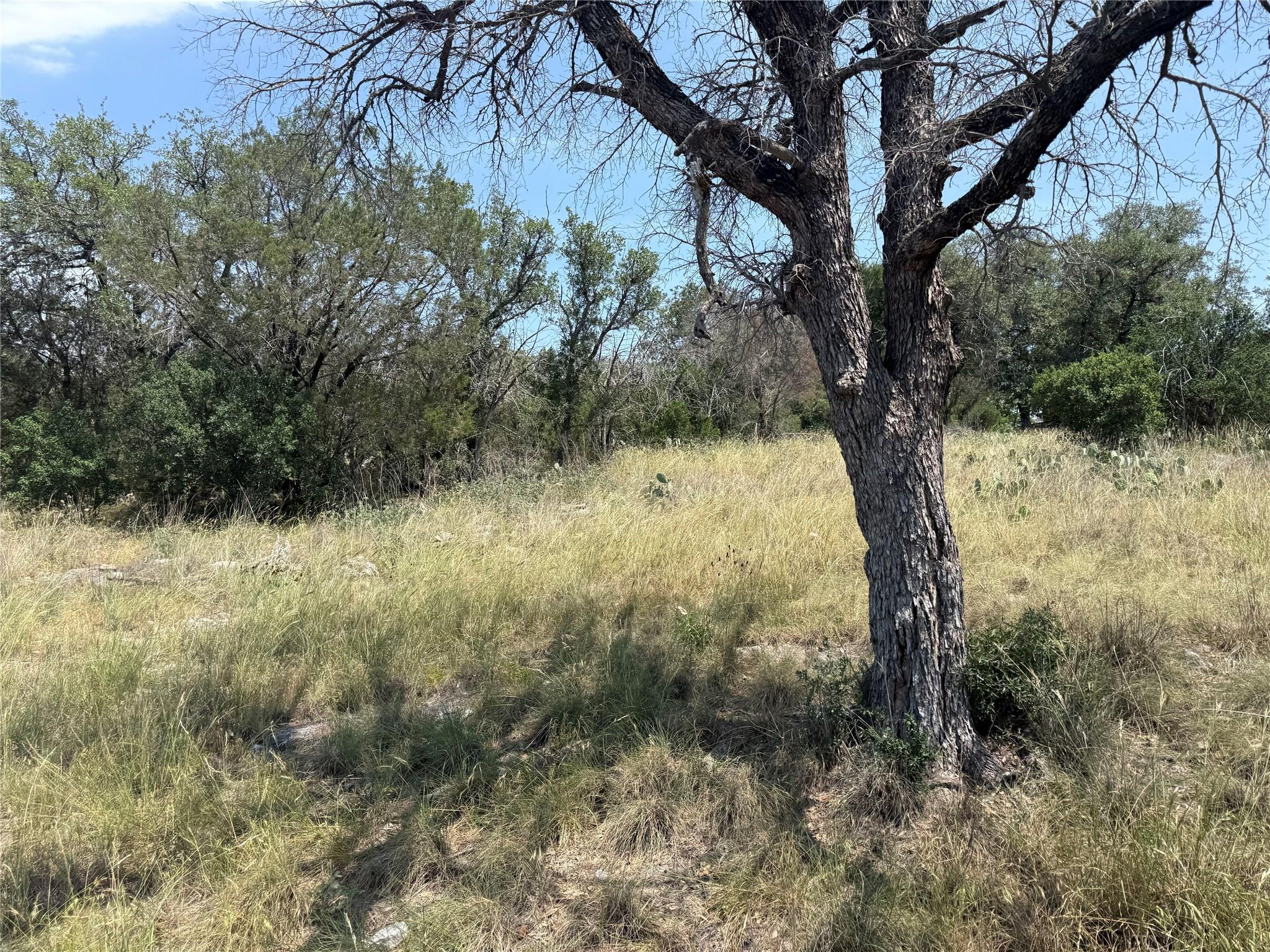Lot 14067 Hi Mesa DR