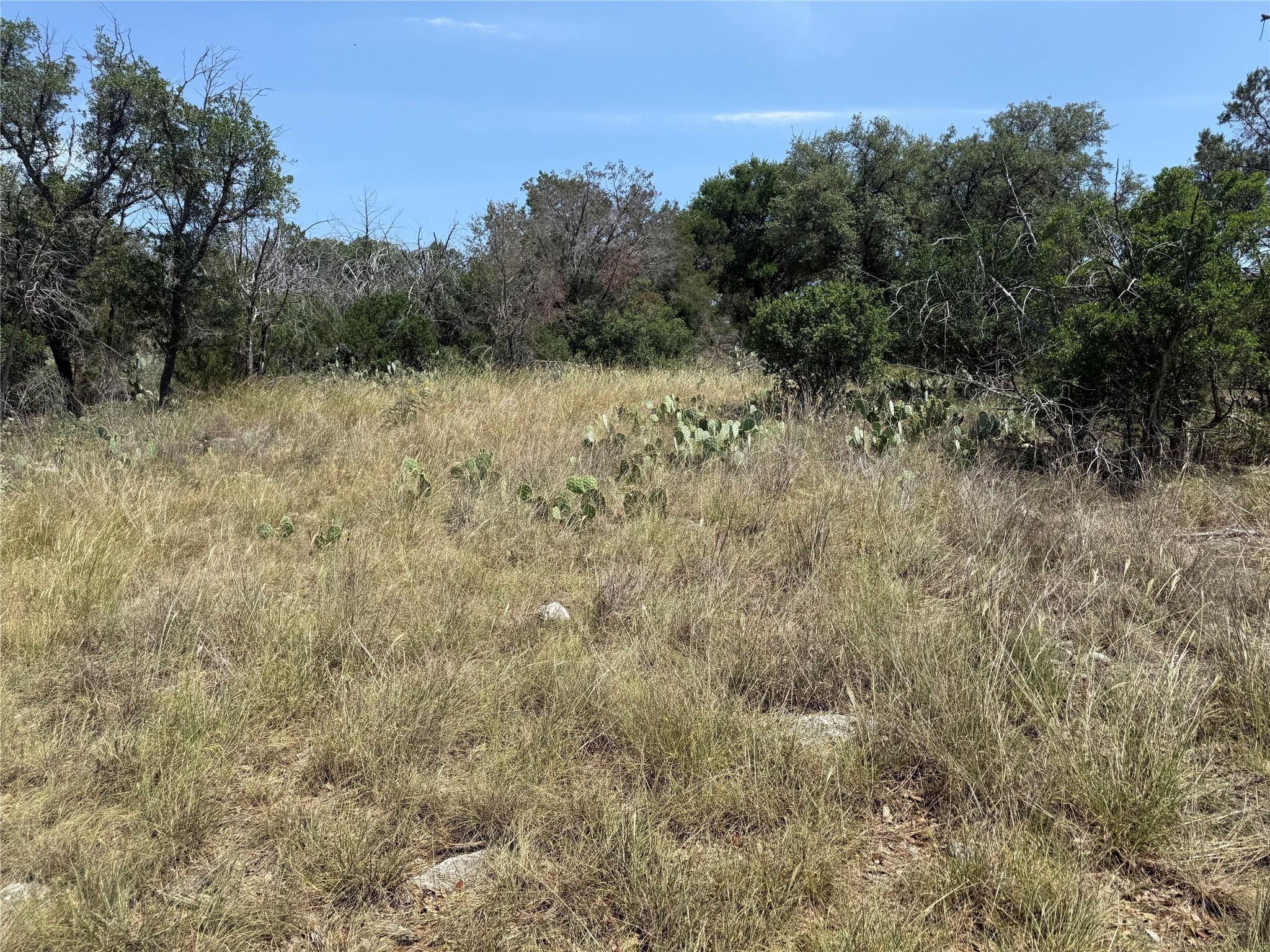 Lot 14067 Hi Mesa DR