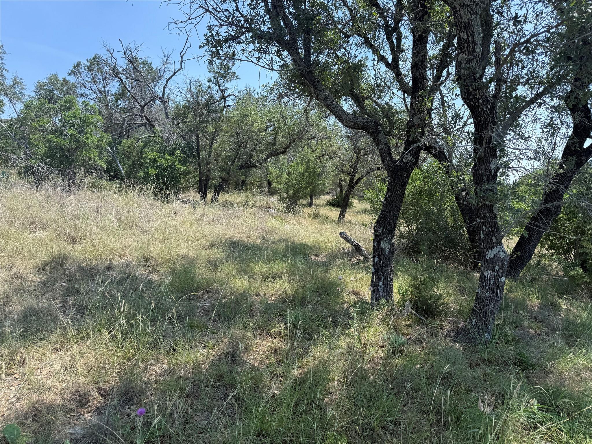 Lot 14067 Hi Mesa DR