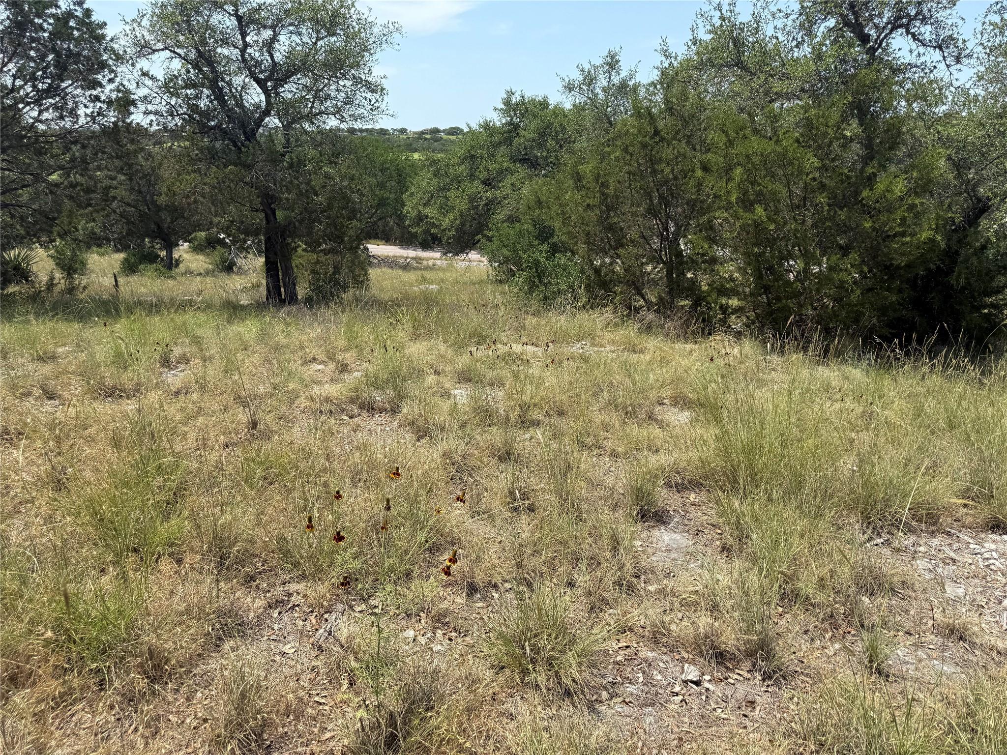 Lot 14067 Hi Mesa DR