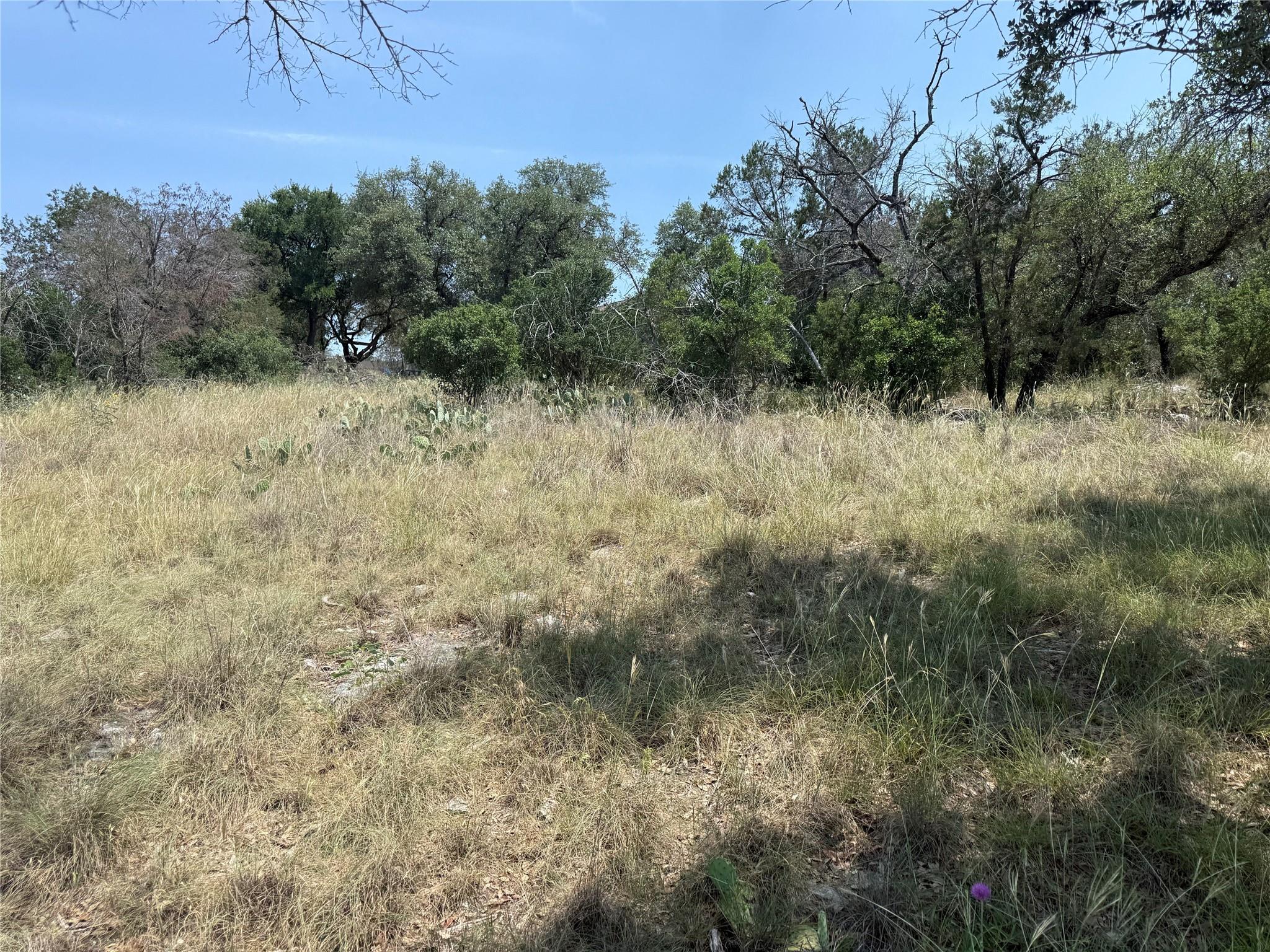 Lot 14067 Hi Mesa DR
