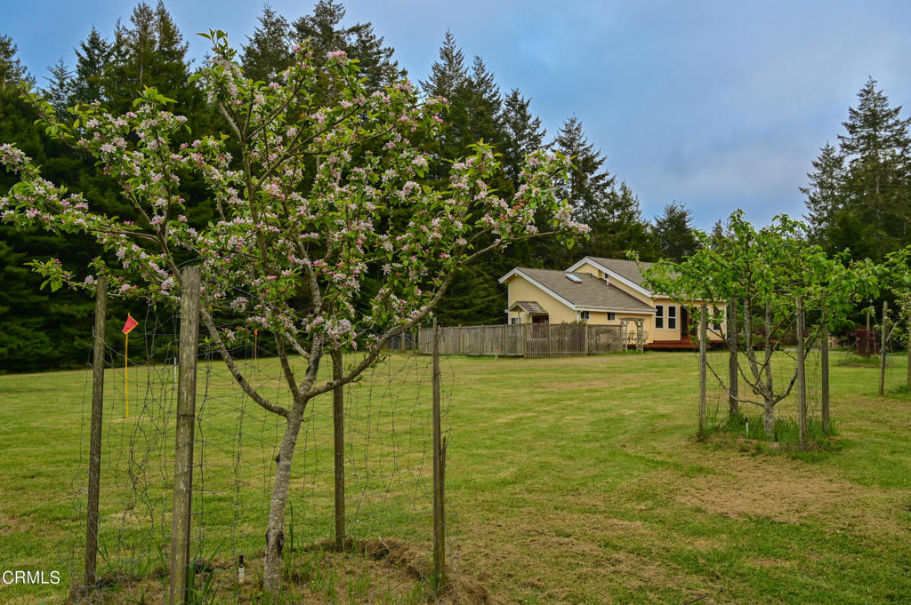 32741 Albion Ridge Road Road