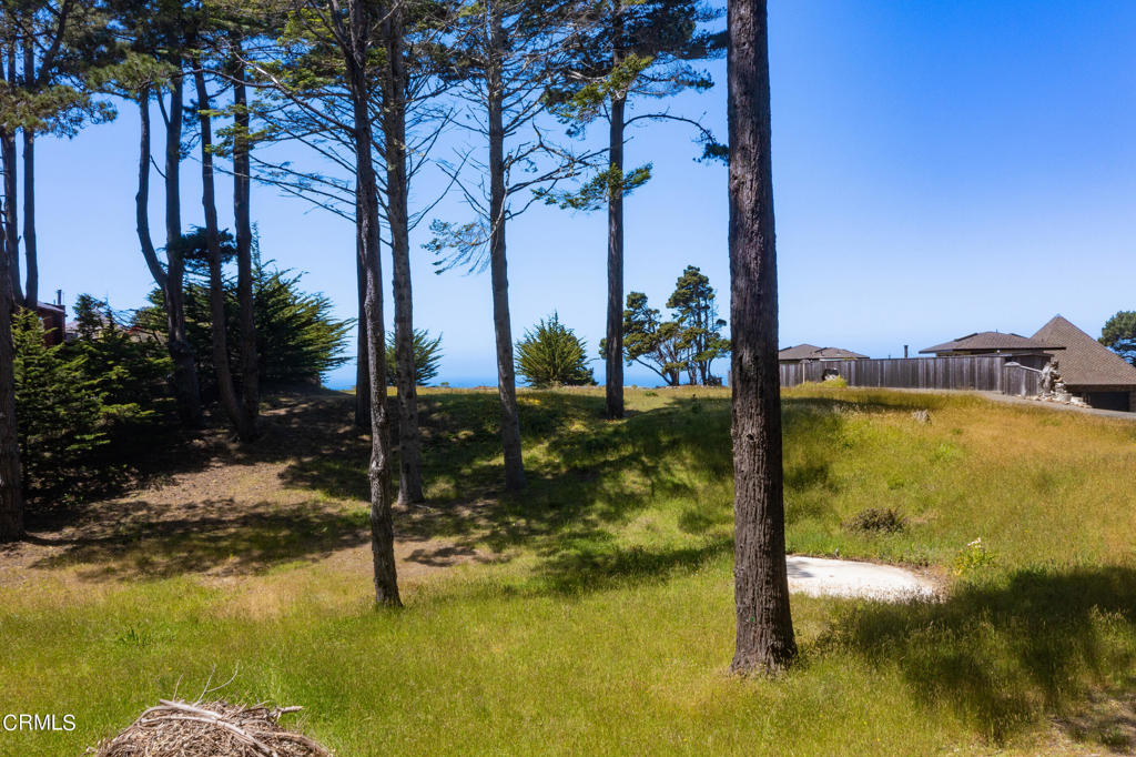 6030 Highway 1