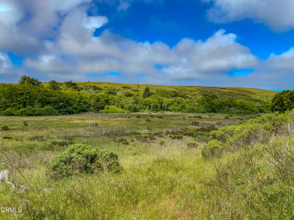 42000 Mountain View Road