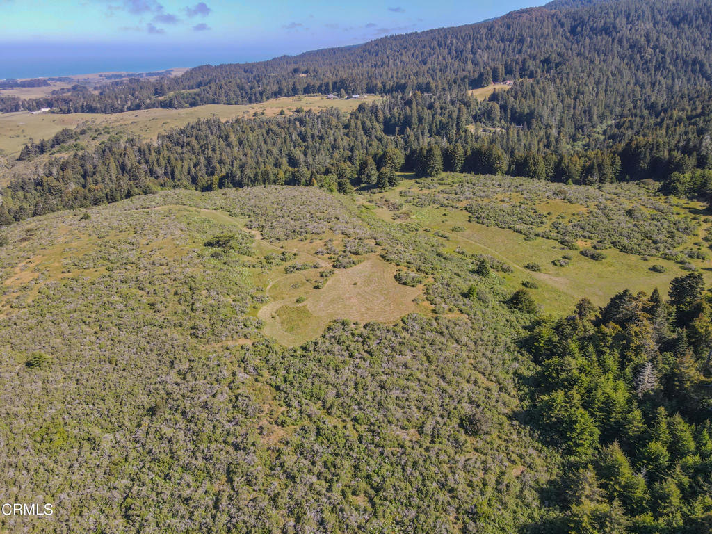 42000 Mountain View Road