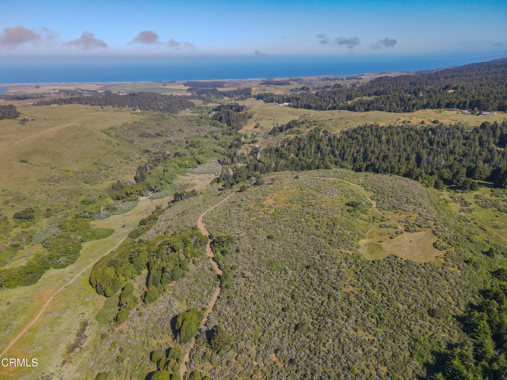 42000 Mountain View Road
