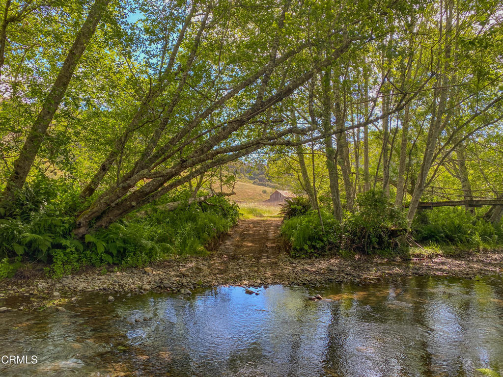 42000 Mountain View Road