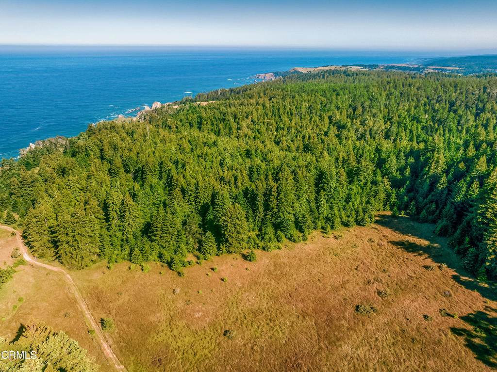 2401 S Highway 1