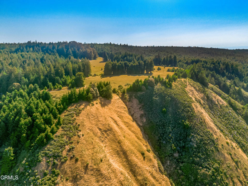 2401 S Highway 1