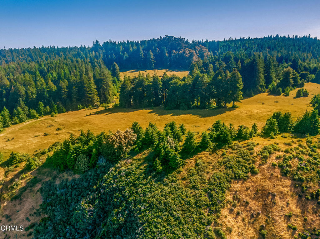 2401 S Highway 1