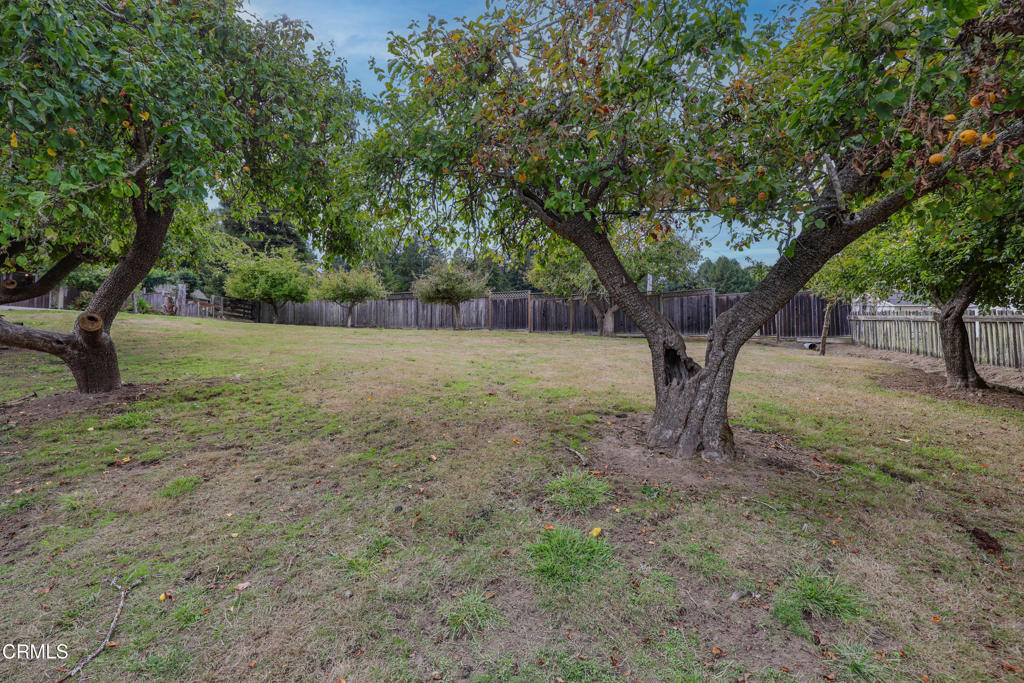 31600 Little Valley Road