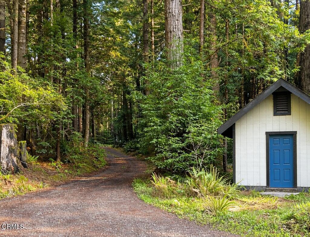 19400 Dorffi Road