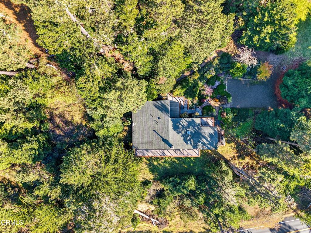 1101 Cameron Road