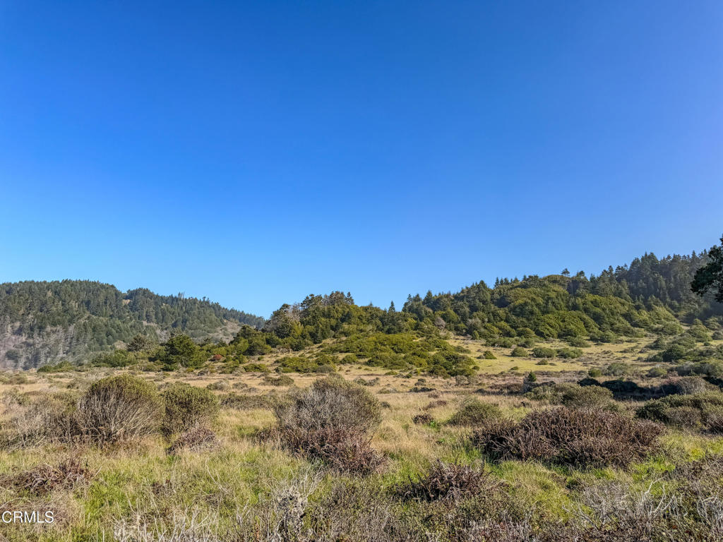37601 N Highway 1