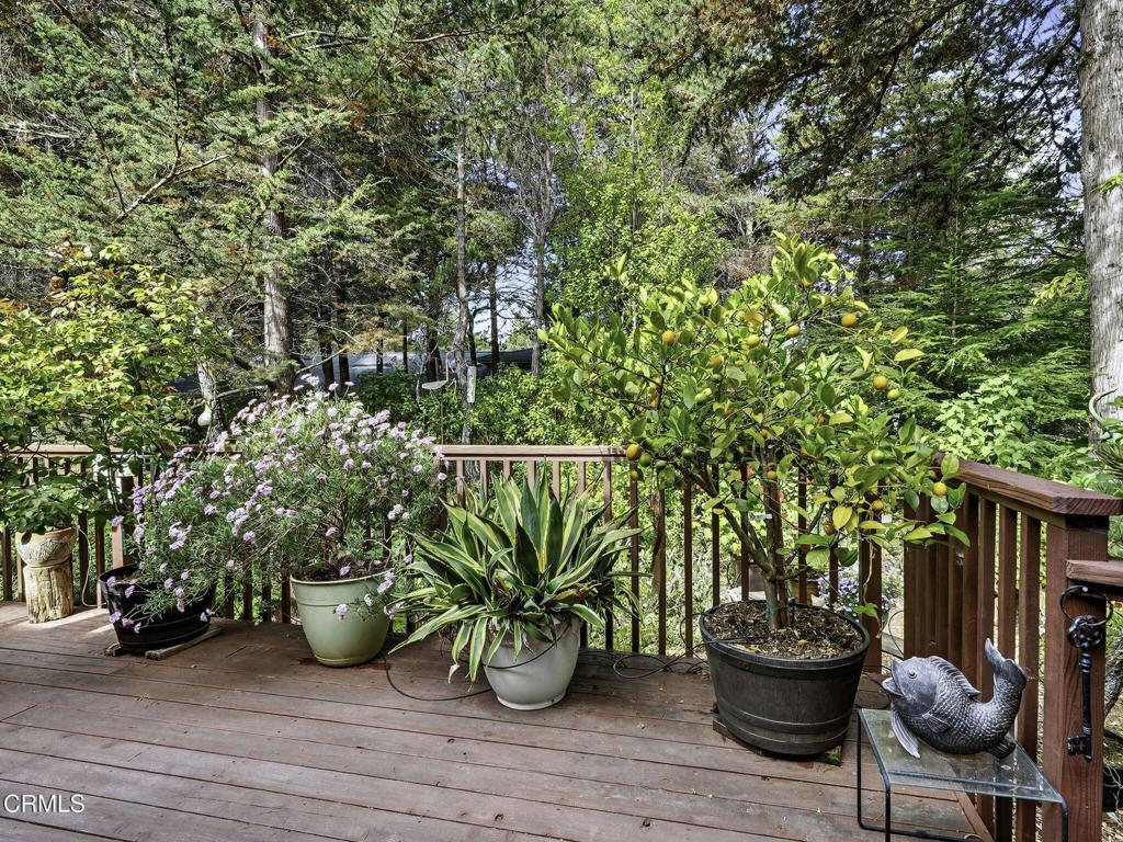 43300 Little River Airport Road 117