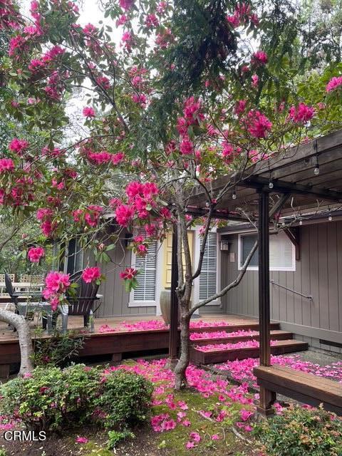 43300 Little River-Airport Road 115