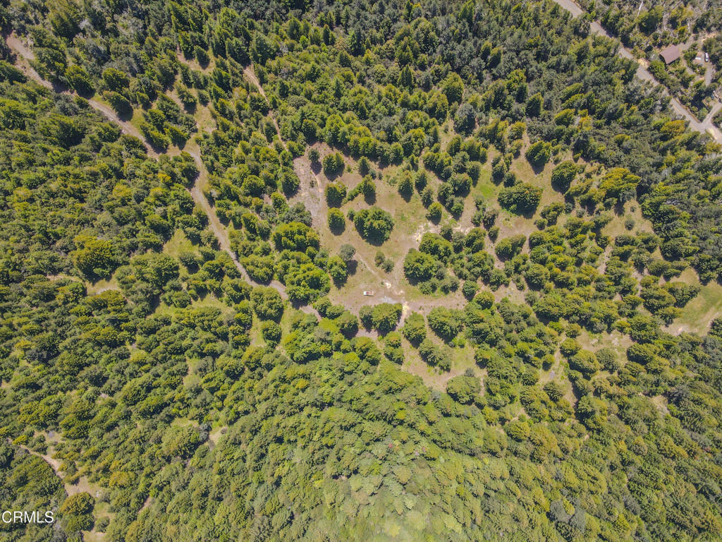 28540 Albion Ridge Road