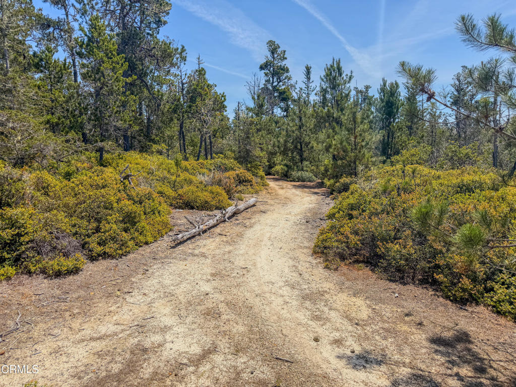 28540 Albion Ridge Road