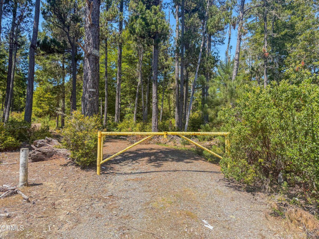 28540 Albion Ridge Road