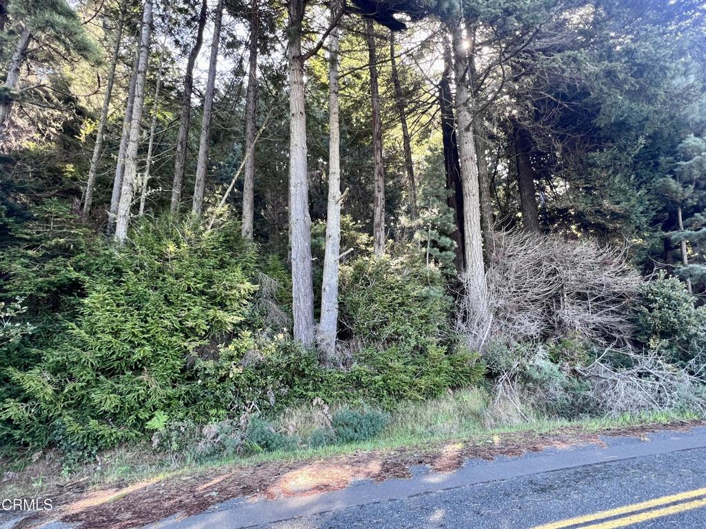 15301 Forest View Road