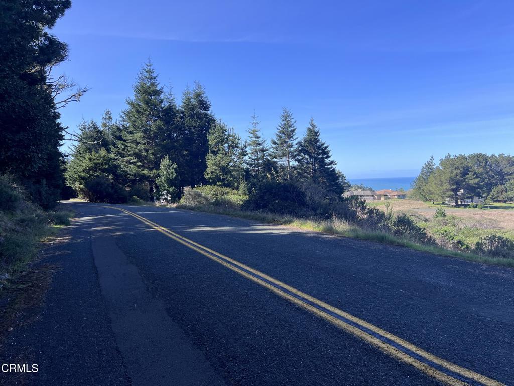 15301 Forest View Road