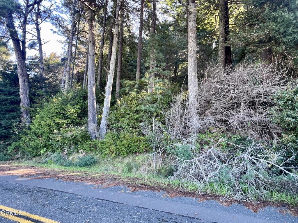 15301 Forest View Road