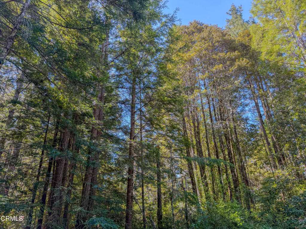 6575 Road 18