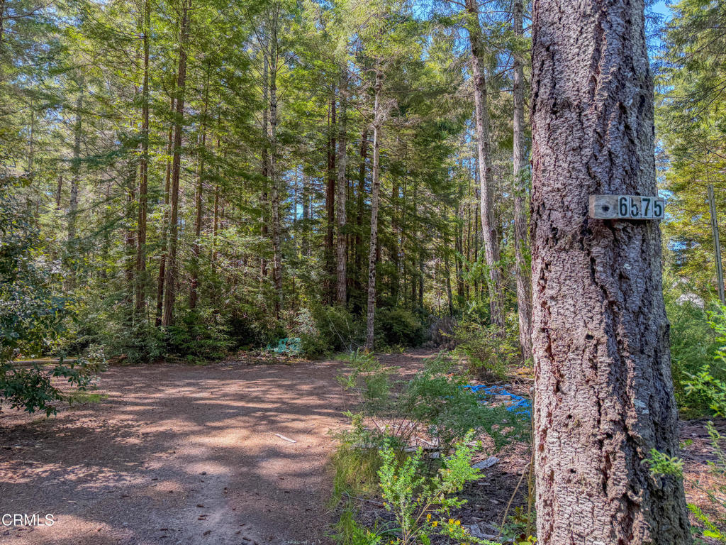 6575 Road 18