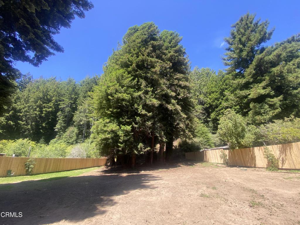 23780 De Haven Creek Road