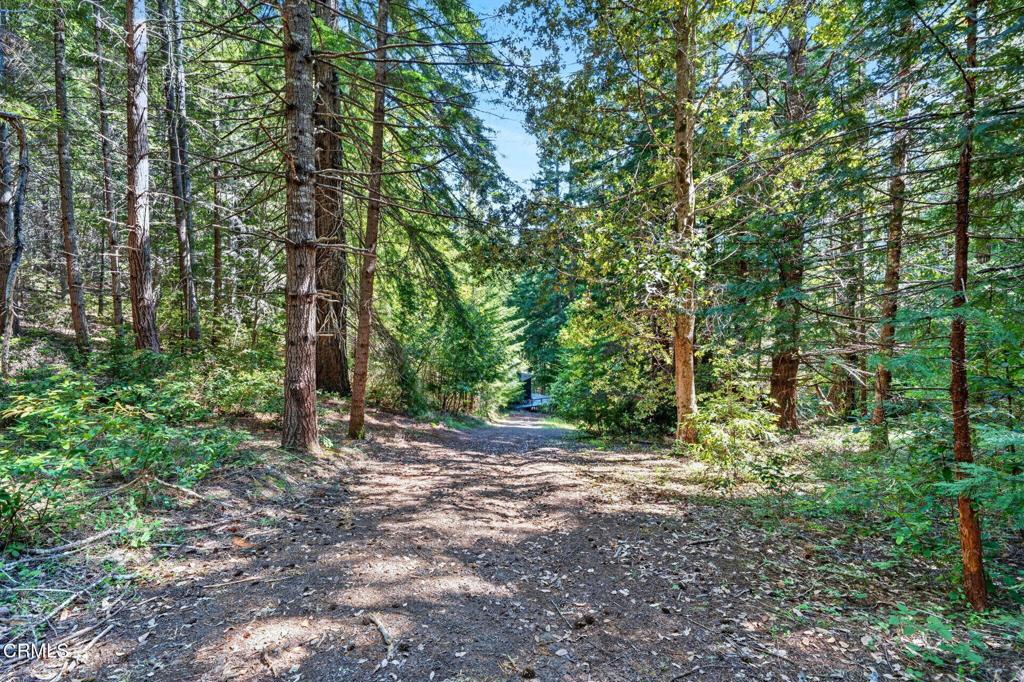 30901 Philo Greenwood Road