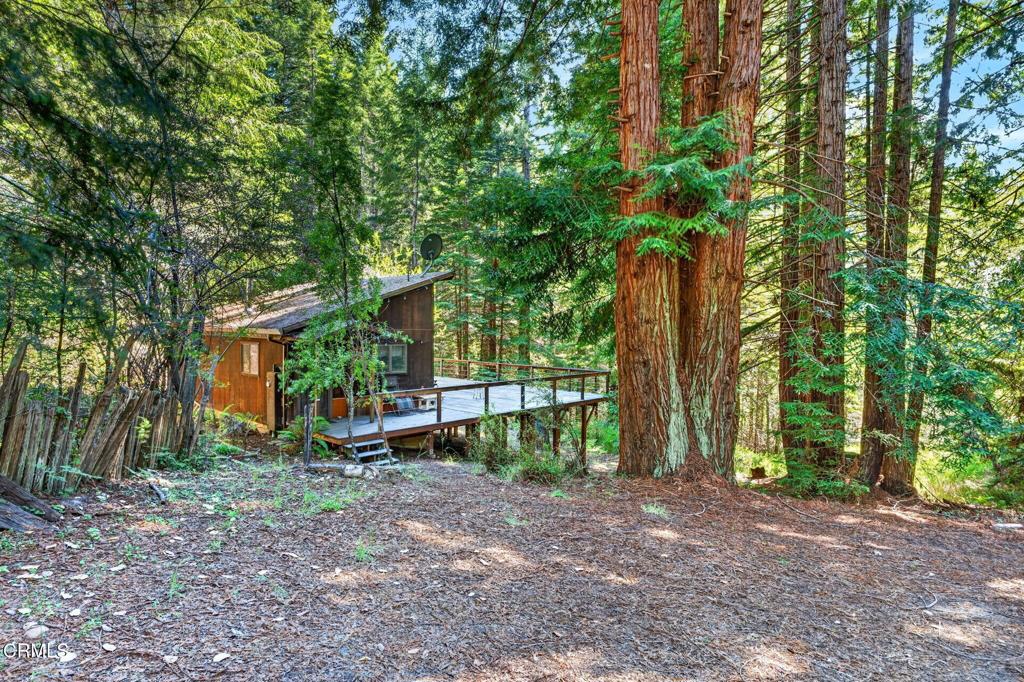 30901 Philo Greenwood Road