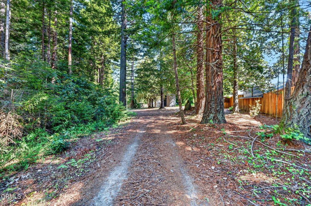 30901 Philo Greenwood Road