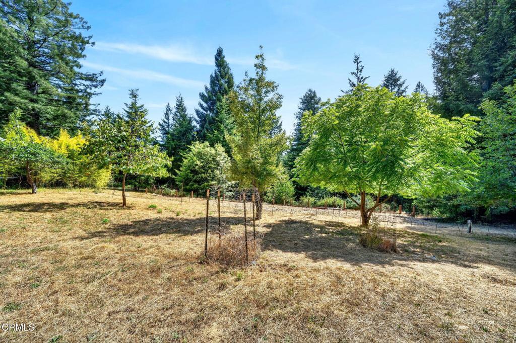 30901 Philo Greenwood Road