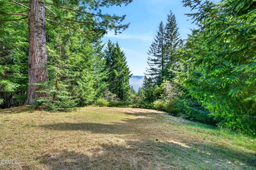 30901 Philo Greenwood Road