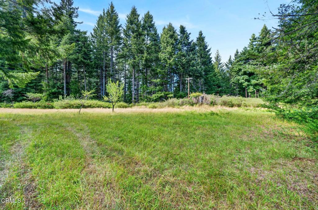 30901 Philo Greenwood Road