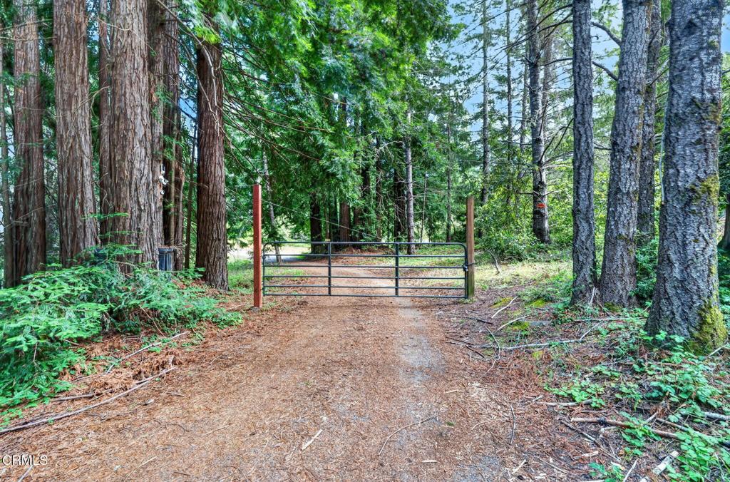 30901 Philo Greenwood Road