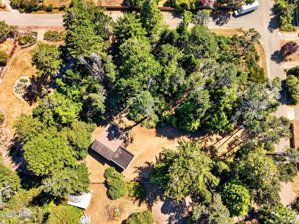 16501 Pine Drive