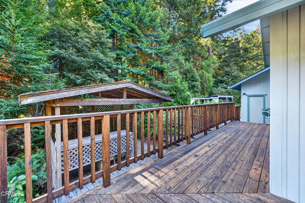 32268 Forest Lane
