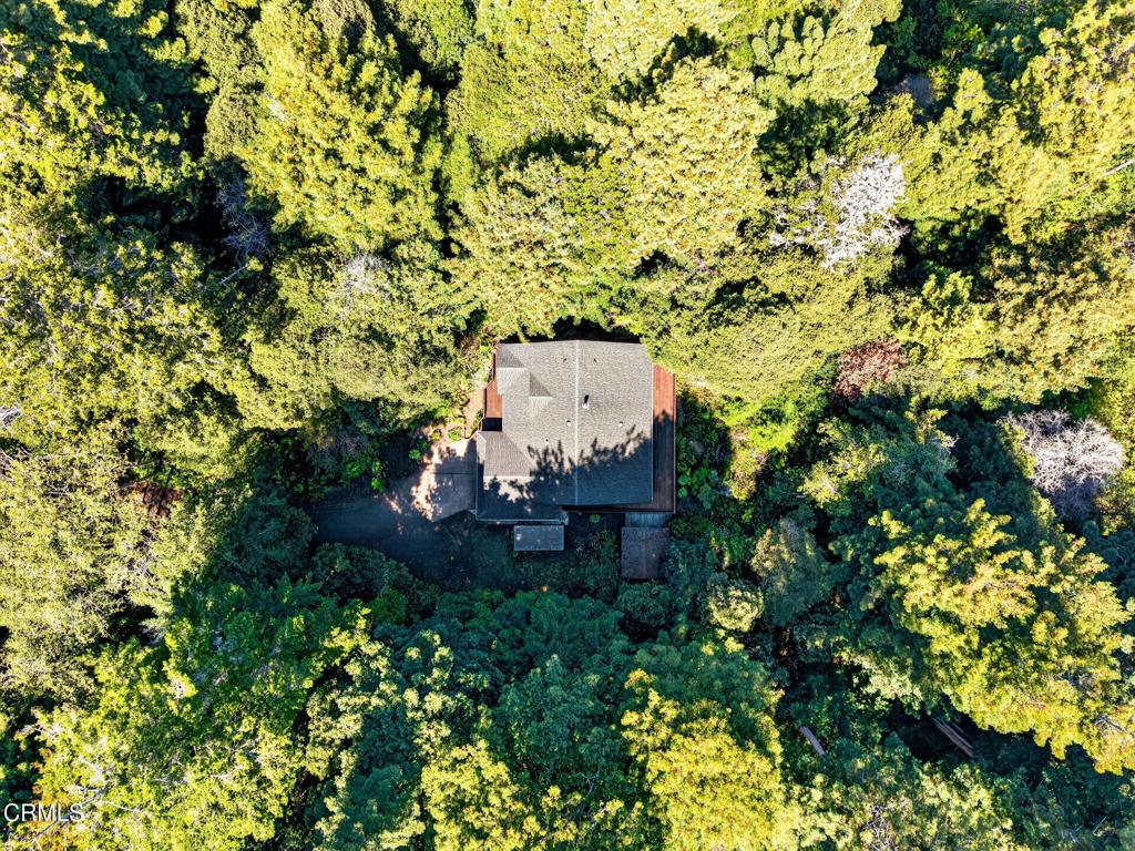 32268 Forest Lane