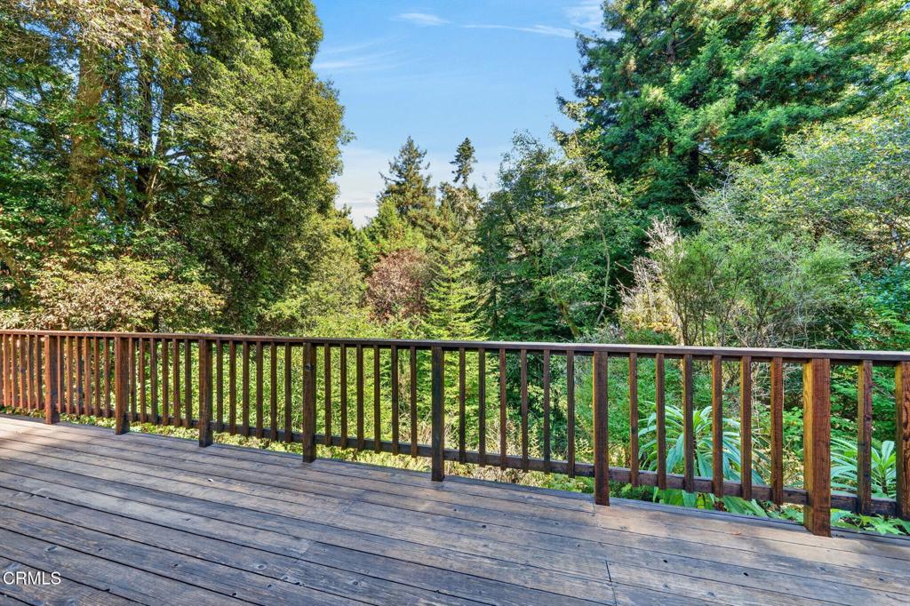 32268 Forest Lane