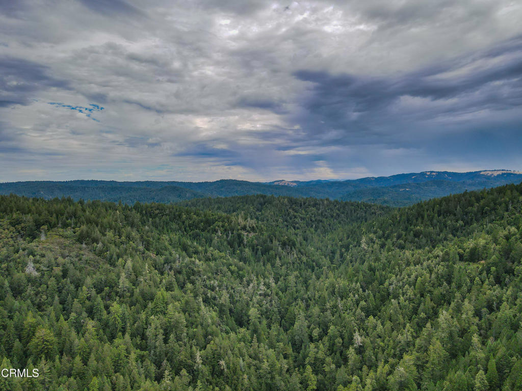 10611 Hungry Hollow Road