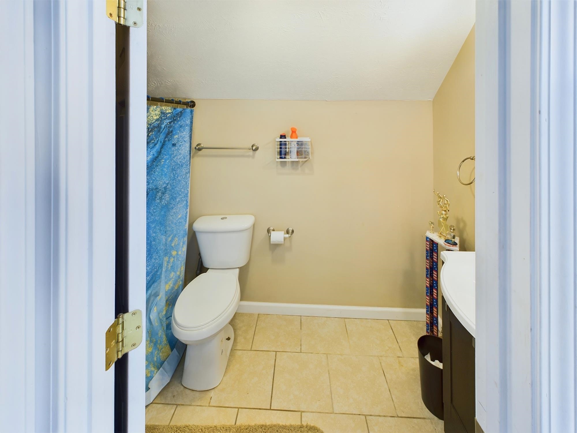 123 Iroquois Trail