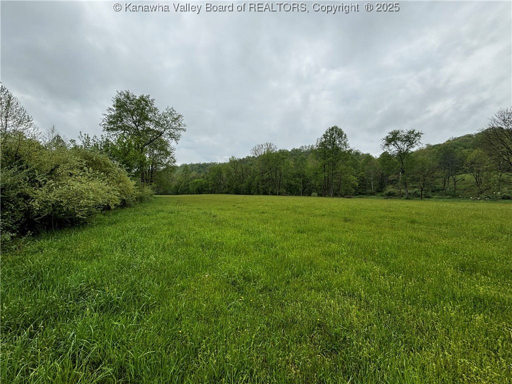 2951 McComas Road