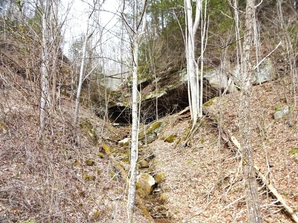 793 Straight Creek Road