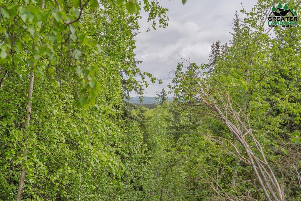 733 RIDGE LOOP ROAD