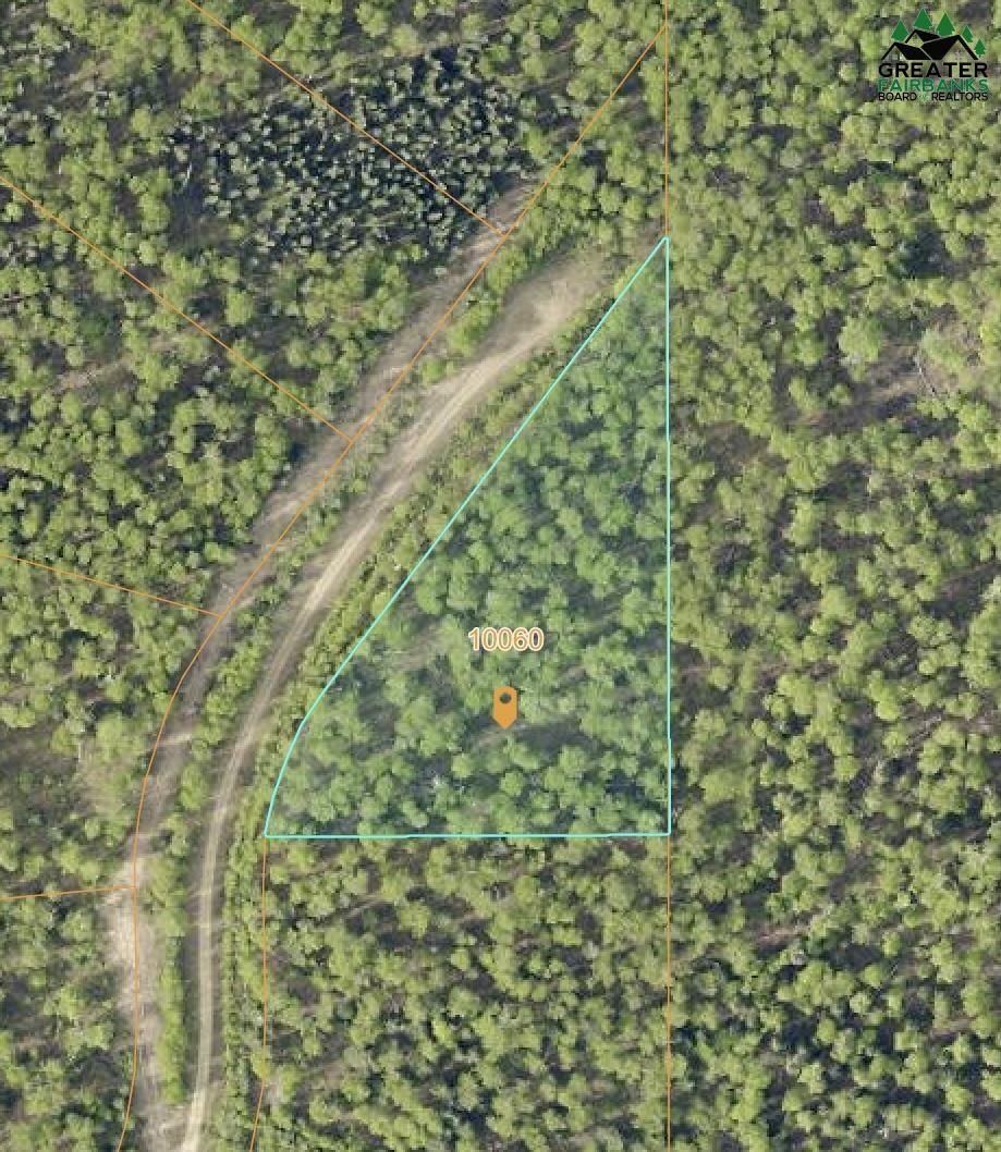 10060 WHITE BIRCH ROAD