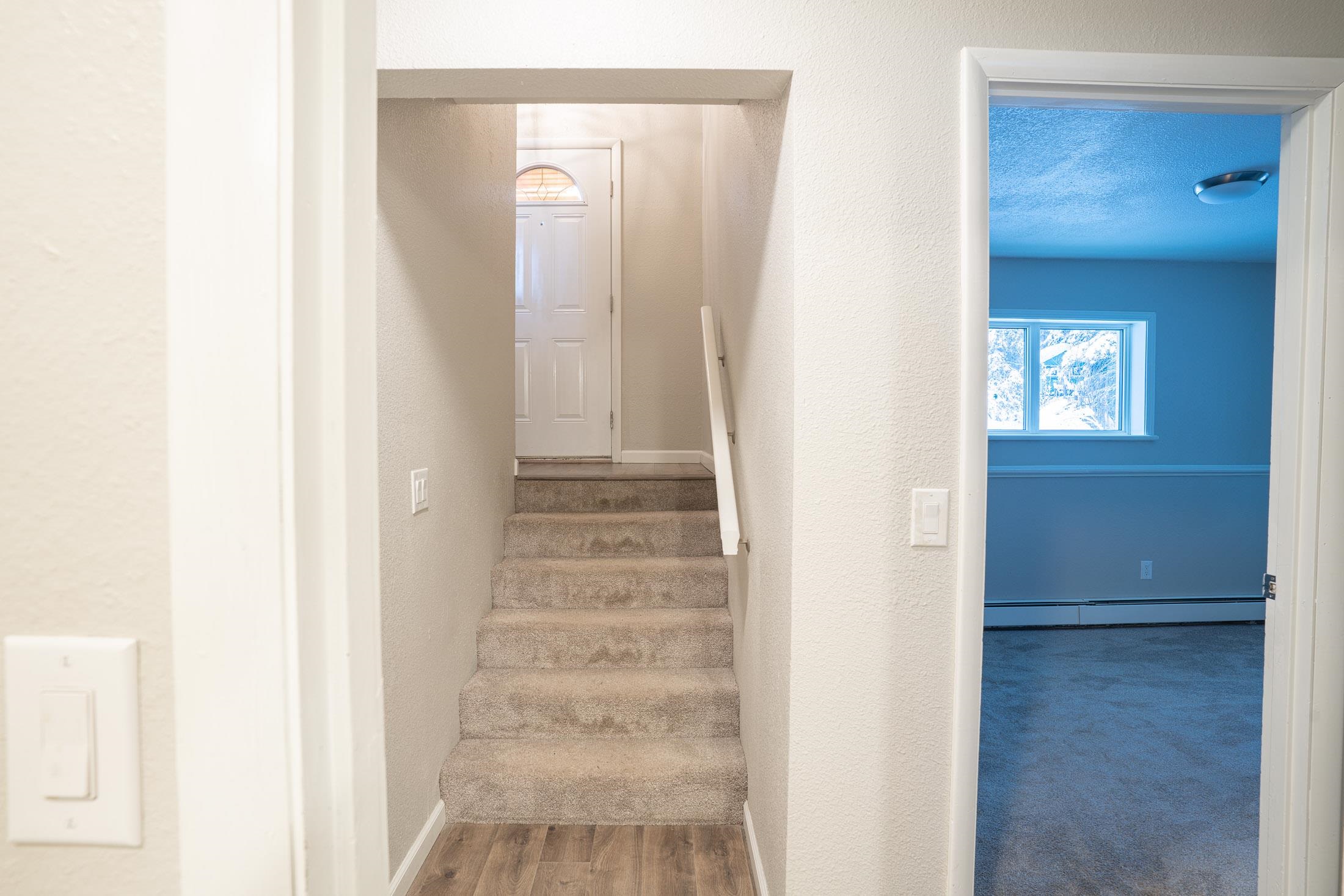 3373 SPRUCE BRANCH DRIVE