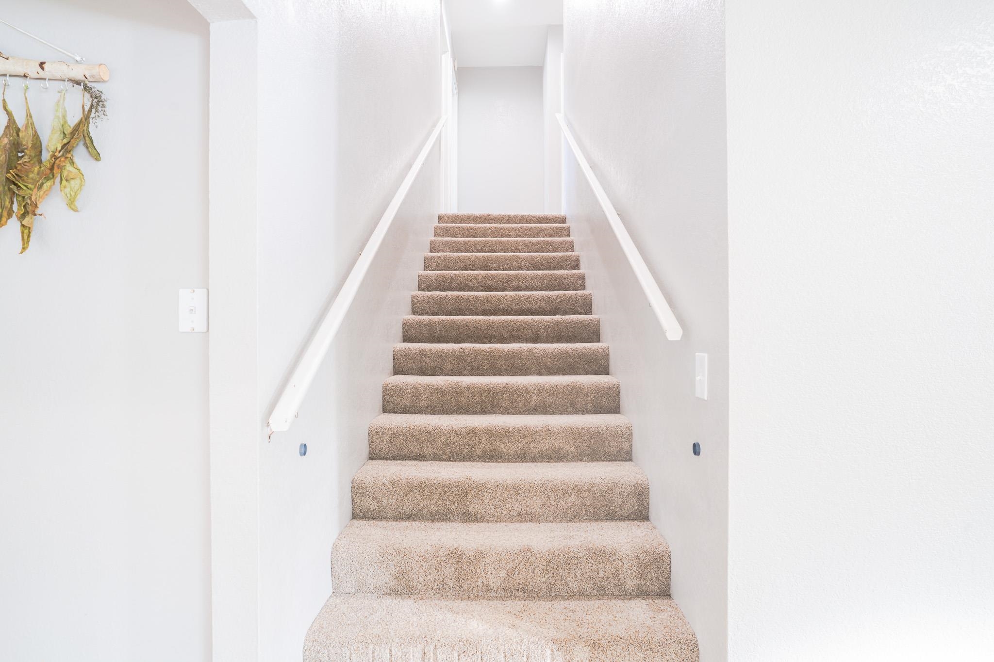 2135 LOOSE MOOSE LOOP