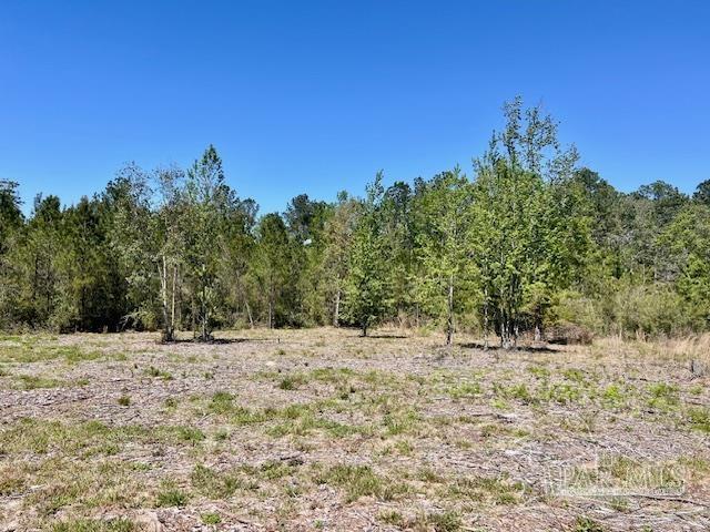 Lot 4 BS Buffalo Ridge Rd